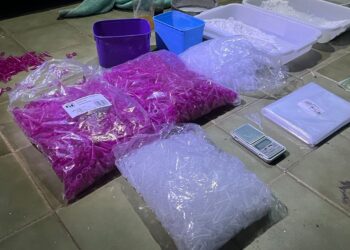 A PM apreendeu 246 microtubos de cocaína, 600 gramas de cocaína a granel, 4 mil microtubos e apetrechos para embalagem das drogas. (Divulgação/Polícia Militar)