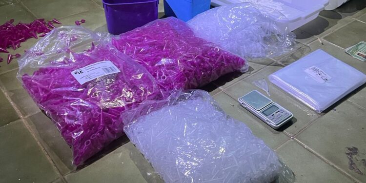 A PM apreendeu 246 microtubos de cocaína, 600 gramas de cocaína a granel, 4 mil microtubos e apetrechos para embalagem das drogas. (Divulgação/Polícia Militar)