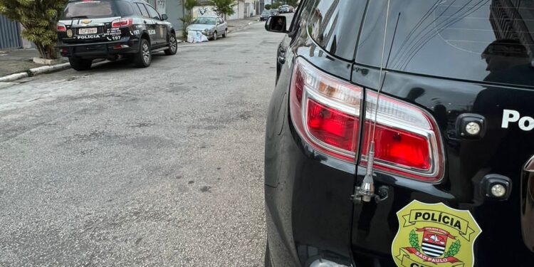 Segundo a Polícia Civil, os suspeitos integram uma organização criminosa da cidade de São de Paulo, especializada na prática de crimes de furtos qualificados a drogarias, perfumarias, lojas de suplemento alimentar, mercados e produtos com alto valor agregado. (Polícia Civil)