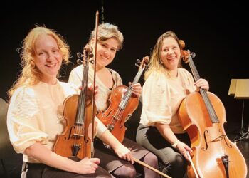 Formado por instrumentistas integralmente atuantes no cenário musical de São Paulo - capital e interior - o Trio MADERA surgiu durante a pandemia por meio de alguns projetos de atendidos realizados remotamente. (Divulgação)
