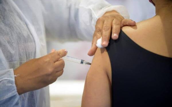 As vacinas são seguras e estimulam o sistema imunológico a proteger a pessoa contra doenças transmissíveis. (Divulgação)