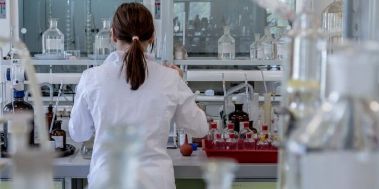 As bolsas de treinamento técnico abarcam desde o formado no Ensino Médio técnico até graduados em nível superior com, no mínimo, cinco anos de experiência em pesquisa ou profissional após a graduação. (Divulgação)