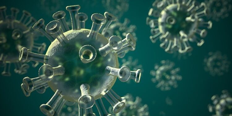 De acordo com o Ministério da Saúde, um caso da variante XBB.1.16 foi registrado no estado de São Paulo. (Freepik)