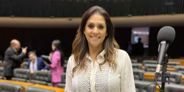A deputada federal Simone Marquetto na Câmara dos Deputados. (Divulgação)