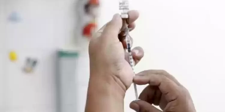 Com o objetivo de fortalecer o sistema imunológico, as vacinas estimulam a produção de anticorpos que combatem agentes infecciosos – como vírus e bactérias – e evitam o adoecimento. (Agência Brasil)