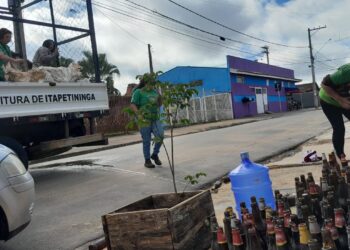 O objetivo do mutirão é prevenir e combater a proliferação de possíveis focos do mosquito e conscientizar os moradores sobre o descarte correto de materiais que possam acumular água. (Divulgação)