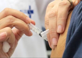 Com o objetivo de fortalecer o sistema imunológico, as vacinas estimulam a produção de anticorpos que combatem agentes infecciosos – como vírus e bactérias – e evitam o adoecimento. (Agência Brasil)