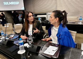 A deputada federal Simone Marquetto (MDB-SP) participou do encontro sobre segurança pública. (Divulgação)