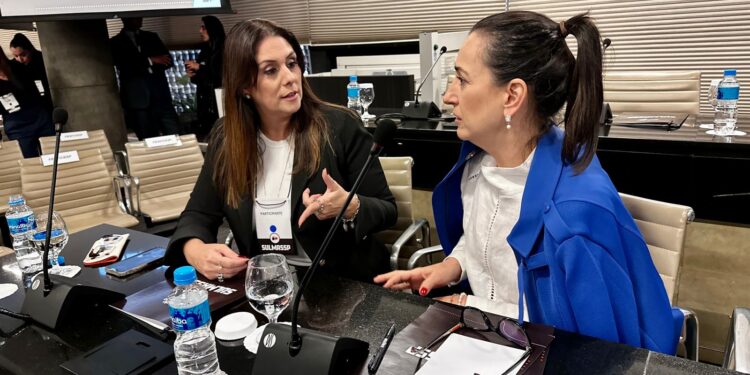 A deputada federal Simone Marquetto (MDB-SP) participou do encontro sobre segurança pública. (Divulgação)