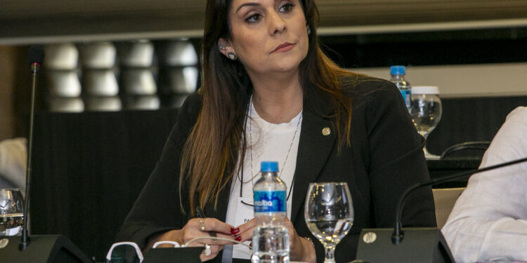 A deputada federal Simone Marquetto (MDB). (Foto: Divulgação).