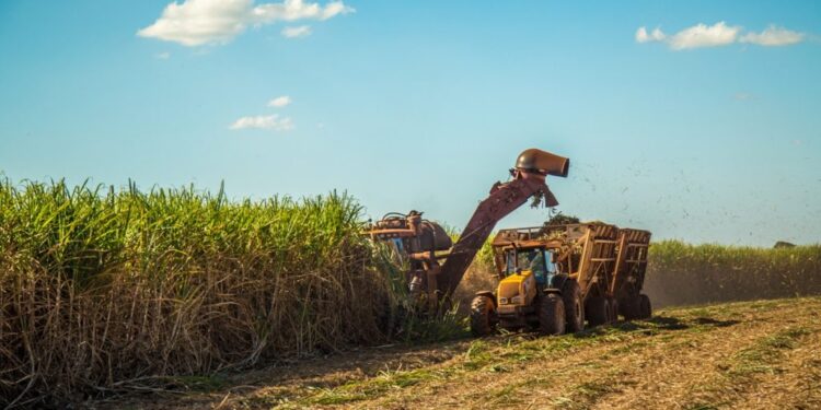 A maior participação é do complexo sucroalcooleiro, que compreende, principalmente, açúcar bruto, refinado e álcool etílico, e vendeu US$ 2,61 bilhões para fora do país no período. (Governo do Estado de São Paulo)