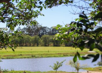 O Parque Ecológico “Regina Freire”, a conhecida Lagoa da Chapadinha. (Divulgação/Prefeitura de Itapetininga)