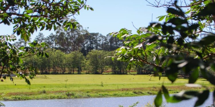 O Parque Ecológico “Regina Freire”, a conhecida Lagoa da Chapadinha. (Divulgação/Prefeitura de Itapetininga)