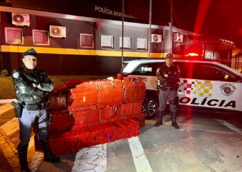 Segundo os polícias foram apreendidos 503,920 Kg sobre o banco traseiro e porta malas. (Divulgação)