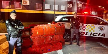 Segundo os polícias foram apreendidos 503,920 Kg sobre o banco traseiro e porta malas. (Divulgação)