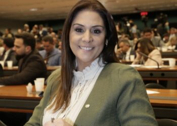 A deputada federal Simone Marquetto (MDB).