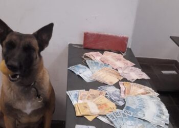 Com o auxilio da cadela Akila, realizou-se uma varredura nas proximidades da área e encontraram enterrado um tijolo análogo a maconha e uma quantia de R$ 7.990. (Divulgação)