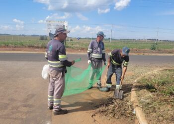 Para ajudar na manutenção da cidade, a gestão municipal solicita o apoio da população para o descarte correto de resíduos que não serão utilizados. (Divulgação/Prefeitura de Itapetininga)