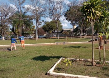 É importante que a população também colabore com a limpeza da cidade. (Divulgação)