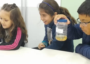 As atividades serão incluídas na rotina semanal das turmas que compartilharão seus trabalhos com as demais classes e no grupo dos pais. (Divulgação)