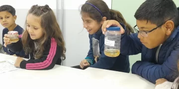 As atividades serão incluídas na rotina semanal das turmas que compartilharão seus trabalhos com as demais classes e no grupo dos pais. (Divulgação)
