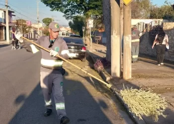 A gestão municipal reforça o pedido para que todos os cidadãos ajudem na limpeza da cidade. (Divulgação)
