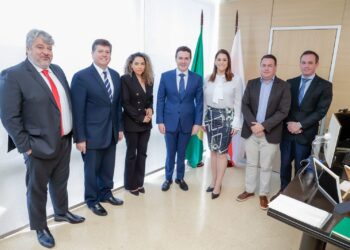 Deputada federal Simone Marquetto participa de audiência sobre habitação no Ministério das Cidades, em Brasília. (Divulgação)