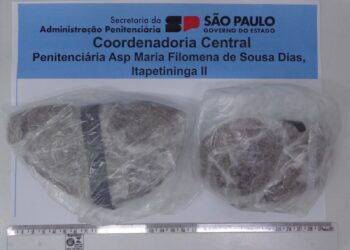 A visitante, ao ser abordada, acabou por confessar que estava portando “maconha” para entregar a seu companheiro. (Divulgação)