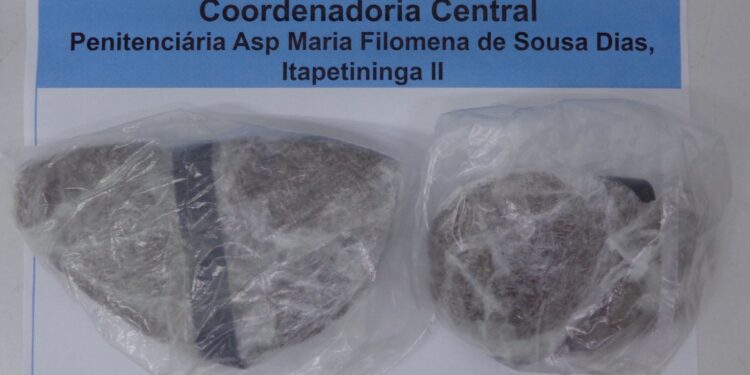 A visitante, ao ser abordada, acabou por confessar que estava portando “maconha” para entregar a seu companheiro. (Divulgação)