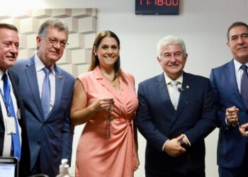 O projeto é de autoria da deputada federal Simone Marquetto (MDB-SP), que esteve presente durante toda a votação no Senado Federal. (Divulgação)