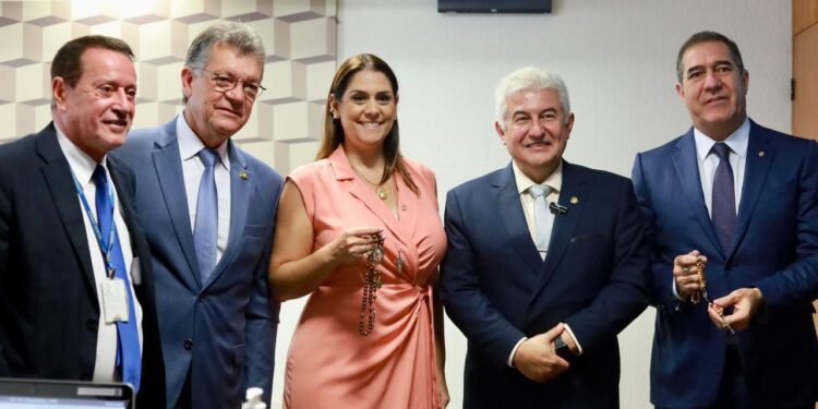 O projeto é de autoria da deputada federal Simone Marquetto (MDB-SP), que esteve presente durante toda a votação no Senado Federal. (Divulgação)