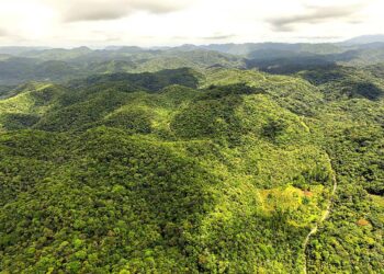 O PMMA busca retratar a realidade do município, no que se refere aos cenários atuais e futuros do território, na perspectiva da importância e potenciais da Mata Atlântica. (Divulgação)