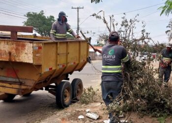 A gestão municipal reforça o pedido para que todos os cidadãos ajudem na limpeza da cidade. (Divulgação)
