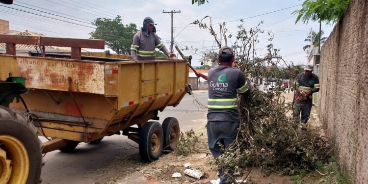 A gestão municipal reforça o pedido para que todos os cidadãos ajudem na limpeza da cidade. (Divulgação)