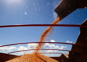 Este ano, as exportações do agronegócio brasileiro atingiram um feito histórico, ultrapassando a marca de US$ 140 bilhões. (2023)