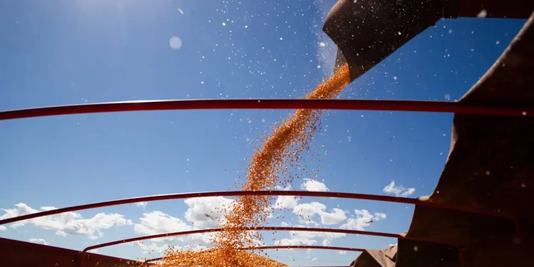 Este ano, as exportações do agronegócio brasileiro atingiram um feito histórico, ultrapassando a marca de US$ 140 bilhões. (2023)