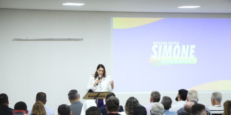 A deputada federal Simone Marquetto (MDB). (Foto: William Furtado)