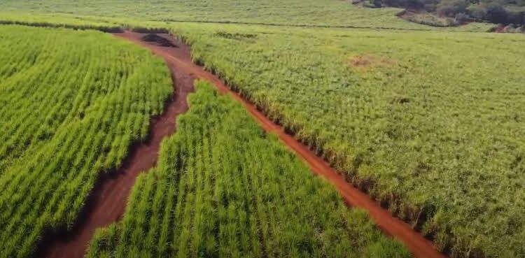 O cadastro do CEP das propriedades gera uma série de efeitos positivos para os trabalhadores do campo, do acesso à saúde ao aumento da segurança. (Divulgação)