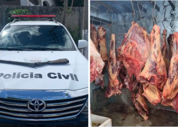 Os policiais apreenderam, durante a operação carnes que eram armazenadas de maneira imprópria, armas, munições e também equipamentos de refrigeração. (Divulgação/Polícia Civil)