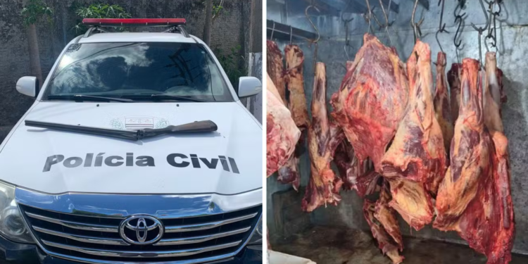 Os policiais apreenderam, durante a operação carnes que eram armazenadas de maneira imprópria, armas, munições e também equipamentos de refrigeração. (Divulgação/Polícia Civil)