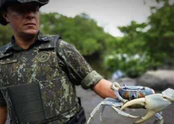 O compromisso com a vida selvagem resgatou do tráfico, do comércio ilegal e de cativeiros clandestinos 21 mil animais. (Divulgação)