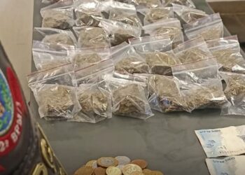 A Polícia Militar encontrou 32 porções de maconha e R$ 791 em espécie. (Divulgação)