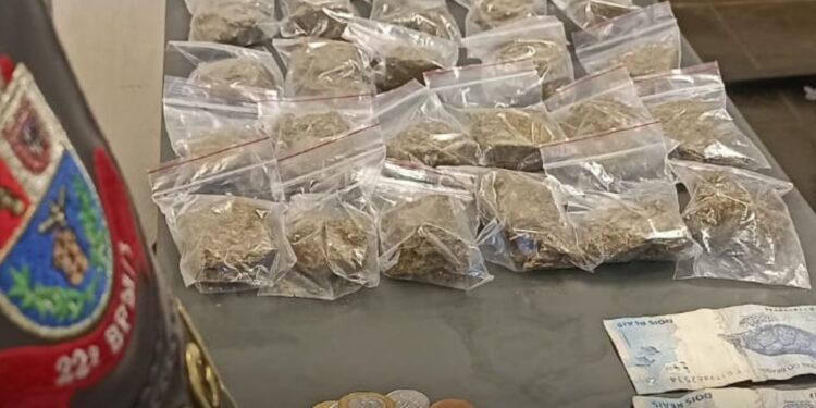 A Polícia Militar encontrou 32 porções de maconha e R$ 791 em espécie. (Divulgação)