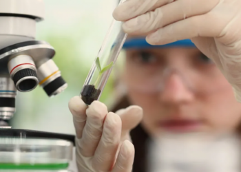 A Fundação de Amparo à Pesquisa do Estado de São Paulo é uma das principais agências de fomento à pesquisa científica e tecnológica do país. (Divulgação)