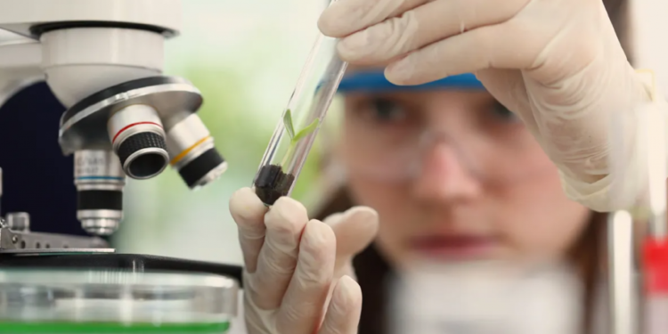 A Fundação de Amparo à Pesquisa do Estado de São Paulo é uma das principais agências de fomento à pesquisa científica e tecnológica do país. (Divulgação)