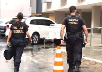 As investigações continuam em curso e a Operação Lesa Pátria é permanente, com atualizações periódicas acerca do número de mandados judiciais expedidos e pessoas capturadas.(Polícia Federal)