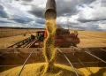 O mercado chinês, o segundo mais populoso do mundo, é o principal exportador dos produtos de Itapetininga. (Agência Brasil)