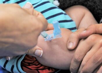 Em 2024, o foco do ministério da Saúde será crianças entre seis meses e 5 anos, que devem receber três doses. A partir dos 5 anos, apenas as crianças consideradas grupo de risco devem receber doses de reforço.| Foto: Acácio Pinheiro / Agência Brasília Leia mais em: https://www.gazetadopovo.com.br/vida-e-cidadania/vacina-da-covid-19-em-criancas-passa-a-ser-obrigatoria/ Copyright © 2024, Gazeta do Povo. Todos os direitos reservados.