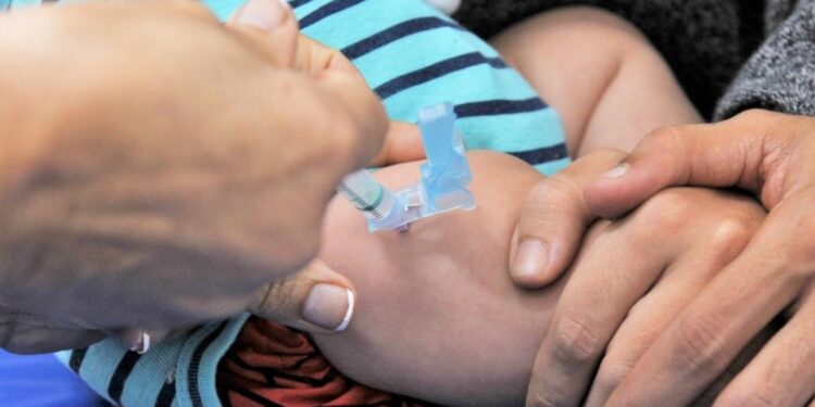 Em 2024, o foco do ministério da Saúde será crianças entre seis meses e 5 anos, que devem receber três doses. A partir dos 5 anos, apenas as crianças consideradas grupo de risco devem receber doses de reforço.| Foto: Acácio Pinheiro / Agência Brasília Leia mais em: https://www.gazetadopovo.com.br/vida-e-cidadania/vacina-da-covid-19-em-criancas-passa-a-ser-obrigatoria/ Copyright © 2024, Gazeta do Povo. Todos os direitos reservados.