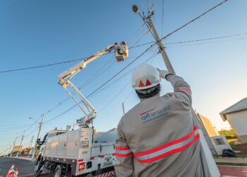 A CPFL Energia está há 111 anos no setor elétrico e atua nos segmentos de distribuição, geração, transmissão, comercialização e serviços. (CPFL Energia)